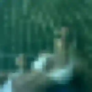 Rejoins Océane, 43 ans à Mont-Dore en privé