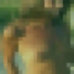 Profil de Fatou à Montagny-lès-Beaune (33 ans) - plan cul anonyme