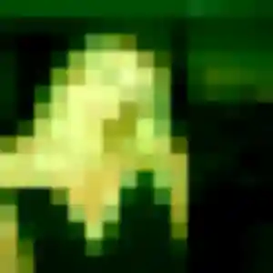 Photo de Titilayo à Montbazens (39 ans) - plan cul gratuit