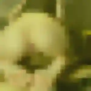Kimberley, 31 ans, dispo pour plan cul à Montceau-les-Mines