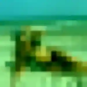 Photo de Nyambura à Monteneuf (34 ans) - plan cul discret