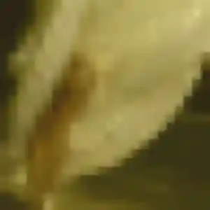 Profil de Naëlle à Montesquieu-des-Albères (29 ans) - plan cul discret