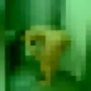 Photo exclusive de Carine, 38 ans à Montjoire - rencontre coquine