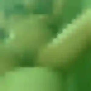 Profil de Yolande à Montrieux-en-Sologne (39 ans) - plan cul anonyme