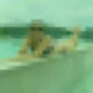 Profil de Pauline à Morey-Saint-Denis (22 ans) - plan cul gratuit