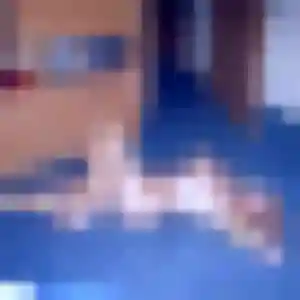 Photo exclusive de Lola, 29 ans à Mortagne-au-Perche - plan discret