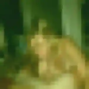 Charmante Jeanine, 22 ans à Moulis-en-Médoc - la contacter