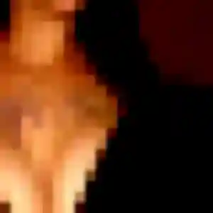 Photo de Djénéba à Mouriès (36 ans) - plan cul anonyme