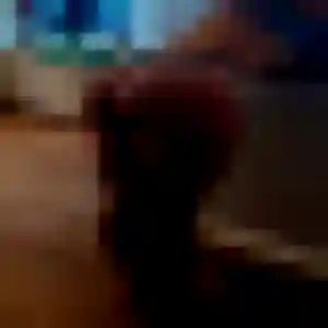 Profil de Sokhna à Mouterre-Silly (35 ans) - plan cul discret