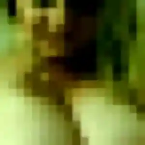 Jessica, 41 ans, dispo pour plan cul à Mur-sur-Allier