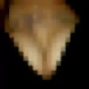 Photo de Thalia à Namps-Maisnil (29 ans) - plan cul anonyme