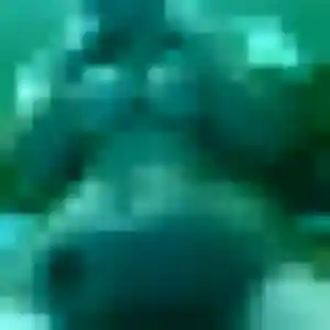 Photo sexy de Brigitte, 25 ans à Nanteuil - rencontre coquine
