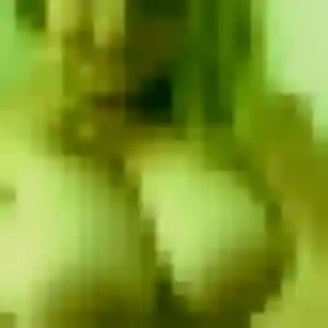 Photo de Dieynaba à Narbonne (32 ans) - plan cul sans inscription