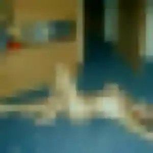 Lola, fille de 38 ans cherche plan cul à Narrosse