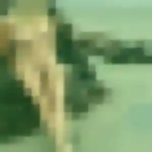 Tiffany, femme de 38 ans cherche plan cul à Naujac-sur-Mer