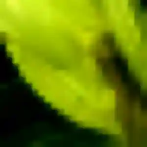 Profil de Sandrine à Neuf-Mesnil (42 ans) - plan cul discret
