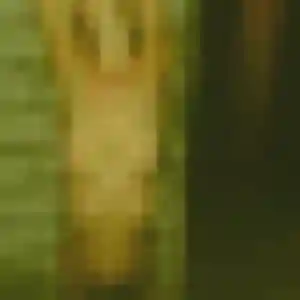 Photo perso de Modupe, 24 ans à Nibelle - rencontre coquine