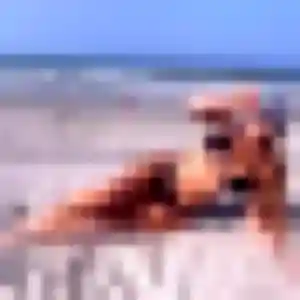 Coumba, 29 ans, connectée à Nieul-sur-Mer pour un plan cul