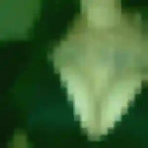 Capucine, 44 ans, disponible à Nogent-sur-Oise pour un plan cul
