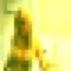 Photo sexy de Christelle, 43 ans à Nohic - rencontre coquine