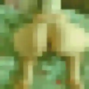 Photo de Élise à Noisiel (31 ans) - plan cul anonyme