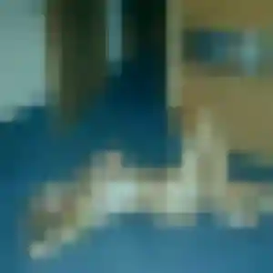 Photo sexy de Sixtine, 44 ans à Nouainville - plan discret