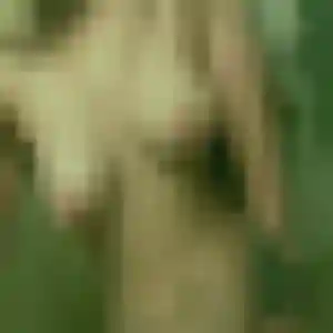 Jolie Henriette, 44 ans à Noyal - la contacter