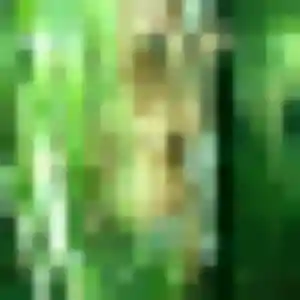 Photo de Akouavi à Odomez (45 ans) - plan cul discret