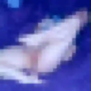 Photo sexy de Célestine, 22 ans à Oisemont - rencontre coquine
