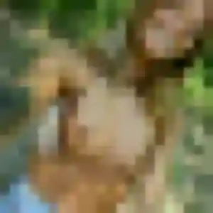Zoé (29 ans) à Oisseau attend une rencontre ce soir