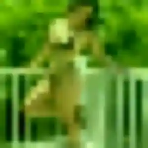 Amandine, 34 ans, dispo pour plan cul à Olmeto