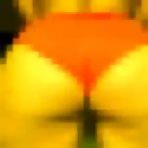 Noémie, 30 ans, disponible à Ombrée d'Anjou pour une rencontre coquine
