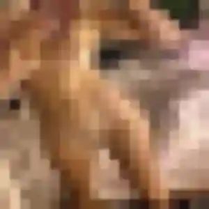 Photo de Daphné à Oppède (36 ans) - plan cul discret