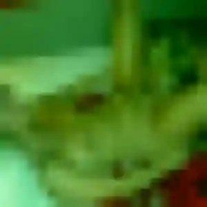 Photo de Ayélé à Orée d'Anjou (30 ans) - plan cul gratuit