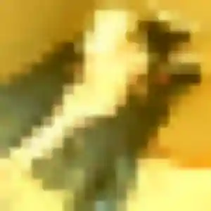 Photo de Jeanine à Orgelet (34 ans) - plan cul anonyme