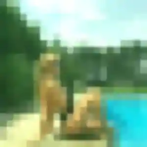 Suzanne, 23 ans, disponible à Oslon pour une rencontre coquine
