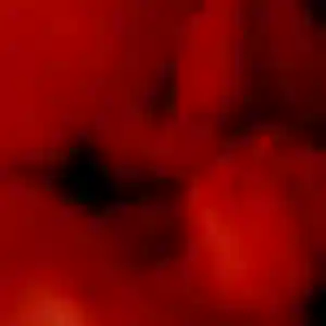 Photo perso de Naïma, 44 ans à Ouilly-le-Vicomte - rencontre coquine