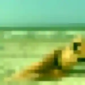 Charmante Roxane, 40 ans à Pamproux - la contacter