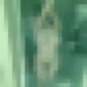 Nafi, 39 ans, dispo pour plan cul à Paslières
