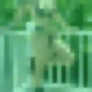 Photo perso de Afi, 39 ans à Penguily - plan discret