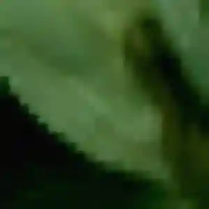 Daba, 36 ans, connectée à Perreux pour une rencontre coquine