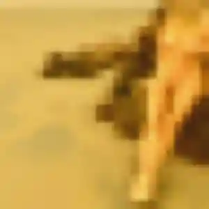 Maguette, 23 ans, connectée à Peyrat-de-Bellac pour une rencontre coquine
