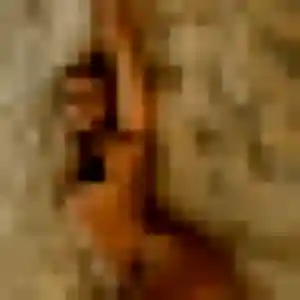 Découvre Claudine, 22 ans à Pins-Justaret en t'inscrivant