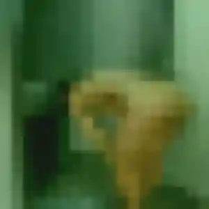 Photo sexy de Peace, 44 ans à Plainfaing - rencontre coquine