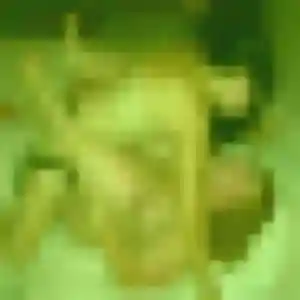 Daphné (42 ans) à Plassay cherche un plan cul ce soir