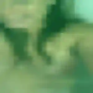 plan cul à Pleumeleuc : photo de Mabinty, 40 ans - inscription gratuite