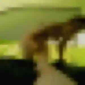 Félicité, 31 ans, dispo pour plan cul à Pleurs