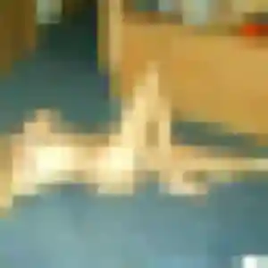 Photo exclusive de Ophélie, 27 ans à Plougonven - plan discret
