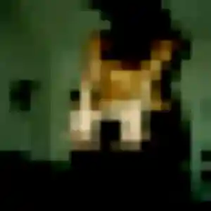 Sexy Folake, 41 ans à Plourhan - la contacter