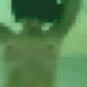 plan cul à Poincy : profil de Lou, 36 ans - inscription gratuite